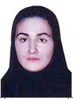 رتبه دهم کنکور انسانی