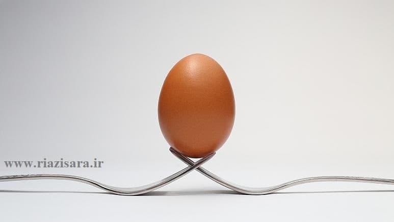 فرمول شکل تخم مرغ